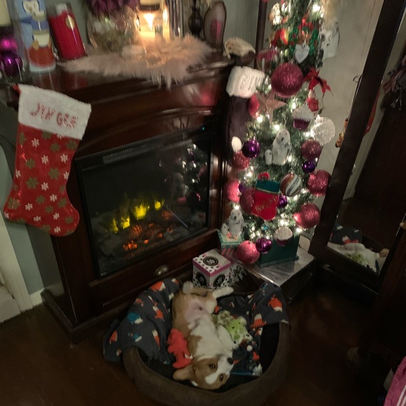 Meet your Posher, Brooke - Picture 2 of 4